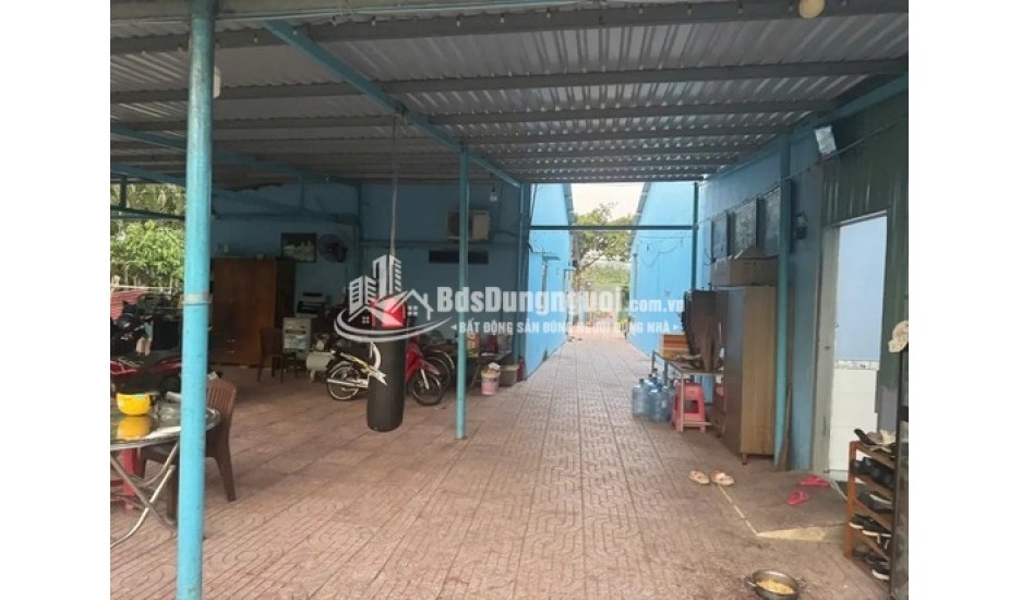 BÁN ĐẤTTRỒNG CÂY LÂU NĂM 300M2 XUNG QUANH ĐẦY ĐỦ TIỆN ÍCH SHR CHÍNH CHỦ KHÔNG TRANH CHẤP